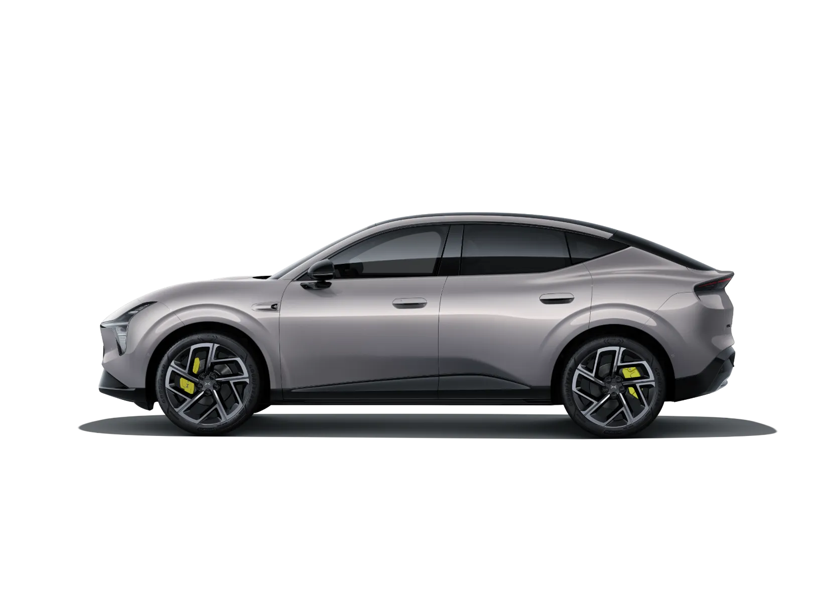 Rock Gray
