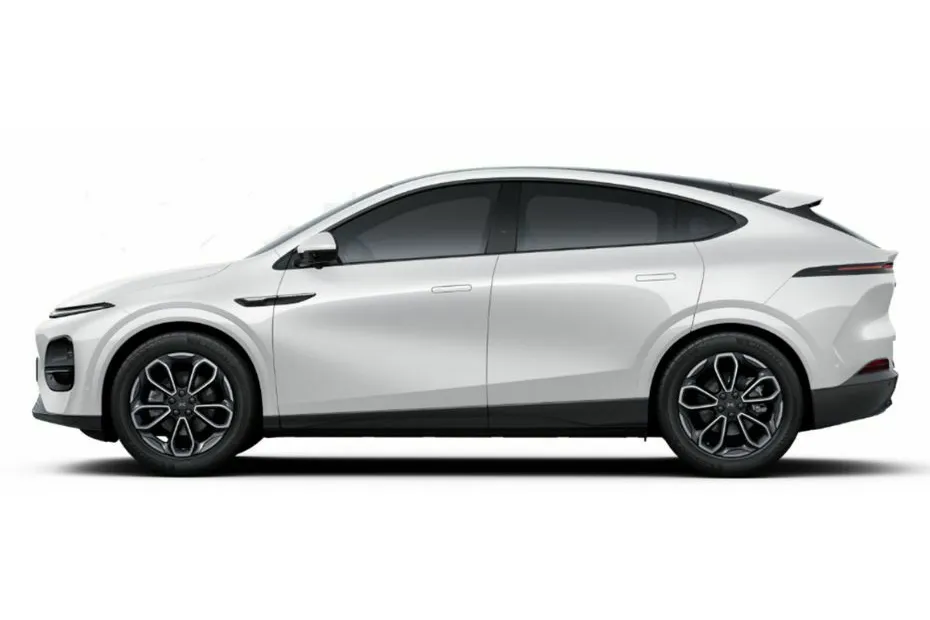 Arctic White